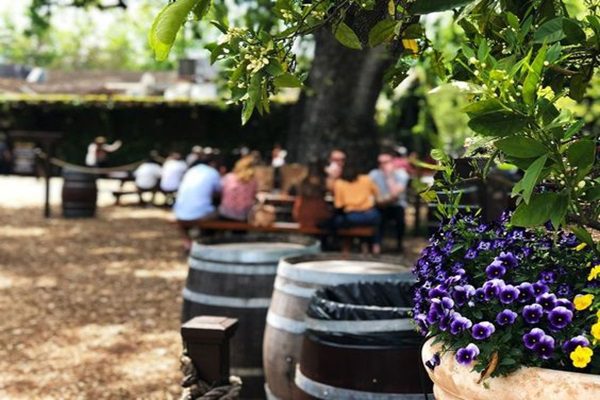 Destinos imperdíveis para os amantes de vinhos! Destinos imperdíveis para os amantes de vinhos!