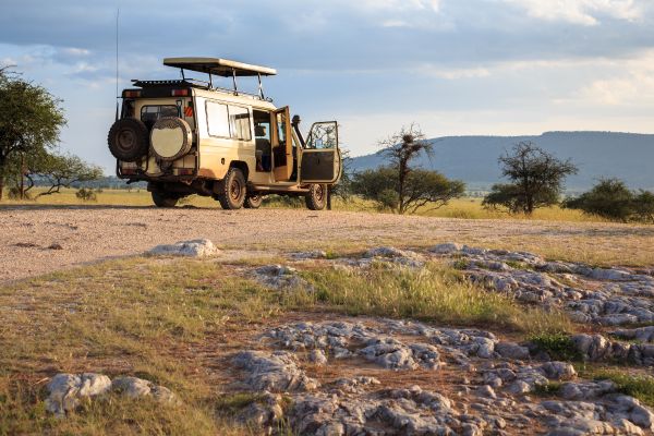 Segredos dos santuários de vida selvagem na África! Segredos dos santuários de vida selvagem na África!